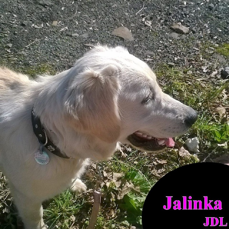 Jalinka (Sans Affixe)