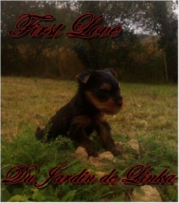 Du Jardin De Linka - First Love 1 mois