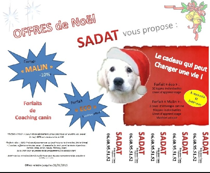 Du Jardin De Linka - PROMO de FIN d'ANNEE ! (coaching canin)