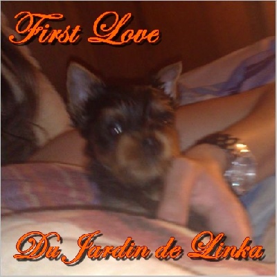 Du Jardin De Linka - First Love grandit...