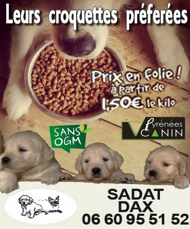 Croquettes